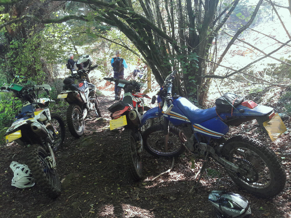 A shady stop (learnt from mistake at 1st stop!)