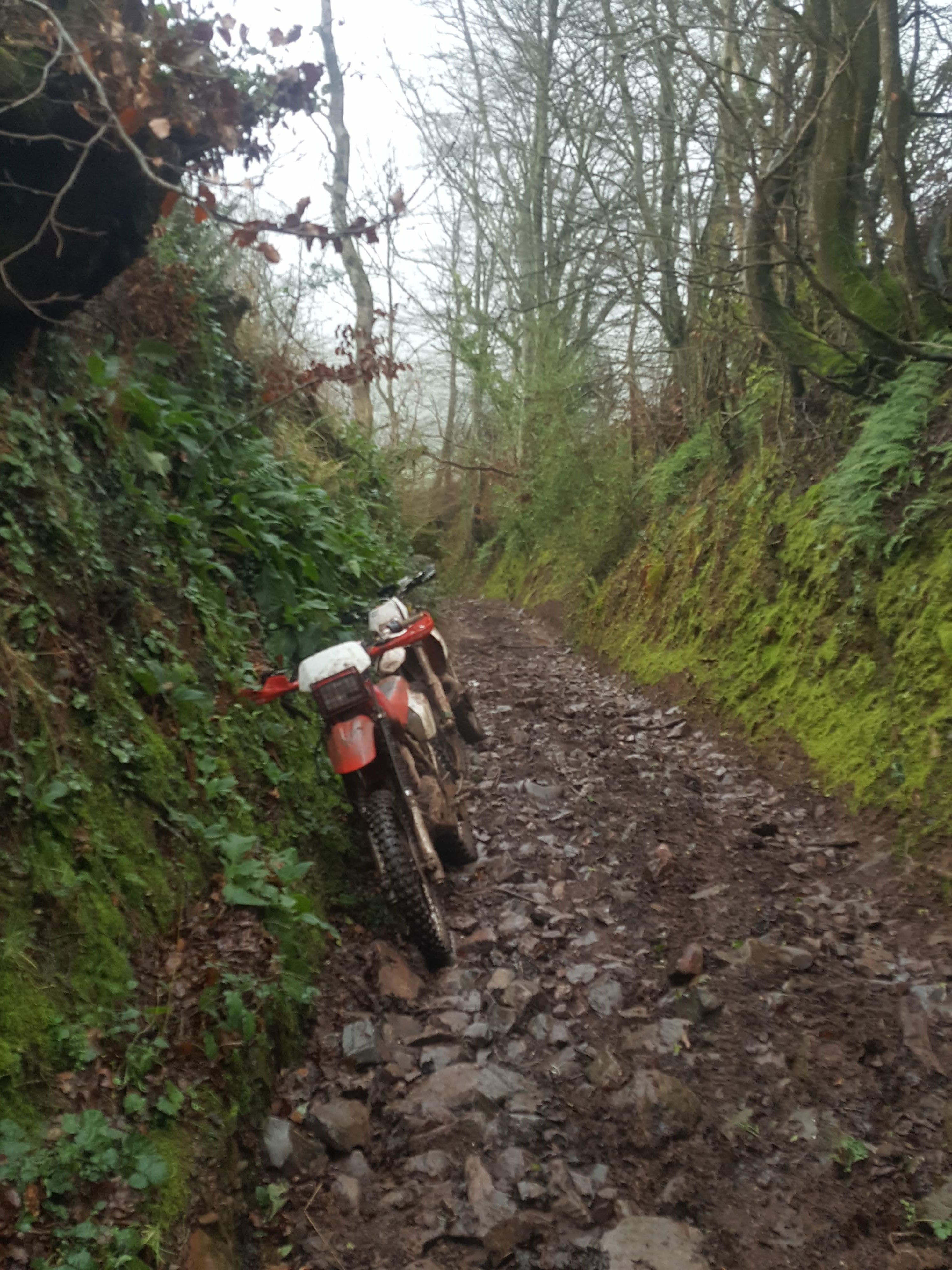 steep lane