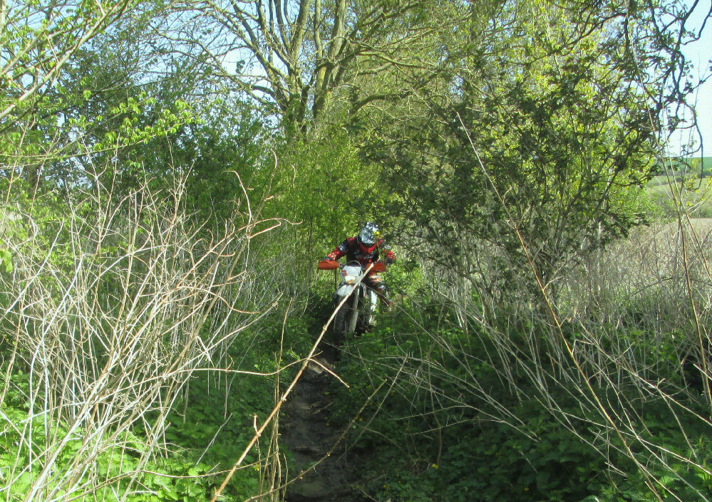 Washpool Lane