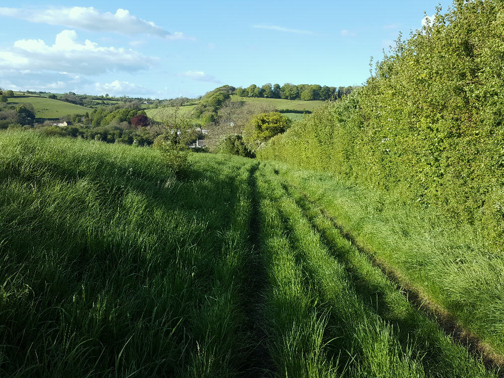 On the final run back up the Fosse towards Tog Hill